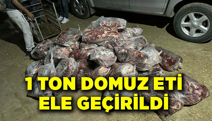 Aydın'da 1 ton kesilmiş domuz eti ele geçirildi