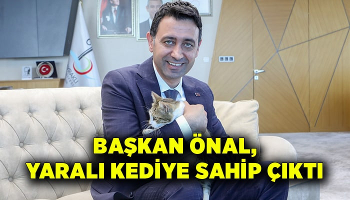 Başkan Önal, yaralı kediye sahip çıktı 'sahiplenme' çağrısı yaptı