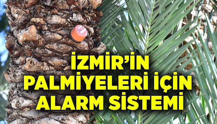 İzmir’in palmiyeleri için alarm sistemi