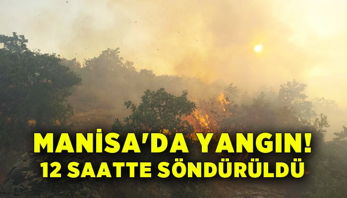 Manisa'daki yangın 12 saatte söndürüldü