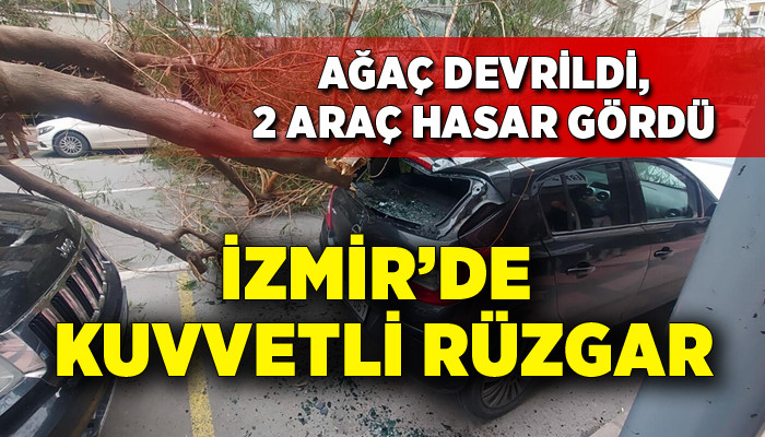 İzmir'de kuvvetli rüzgar; ağaç devrildi